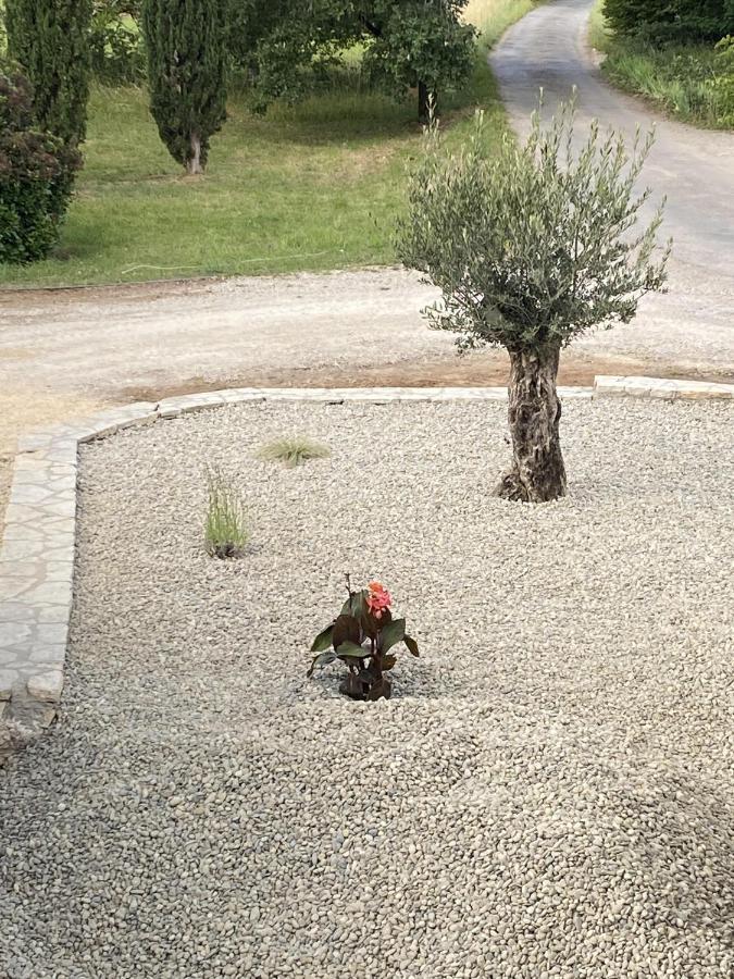 Le Jardin Du Moustoulac Chambres D'Hotes Cahors Exterior photo